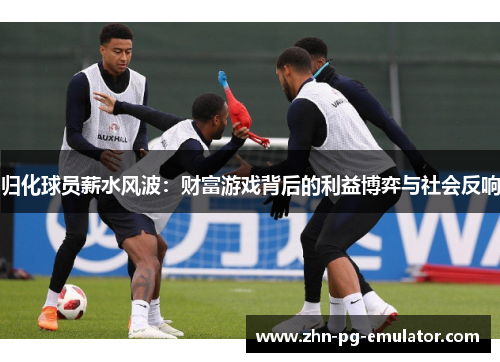 归化球员薪水风波：财富游戏背后的利益博弈与社会反响