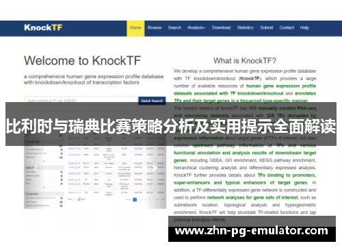比利时与瑞典比赛策略分析及实用提示全面解读